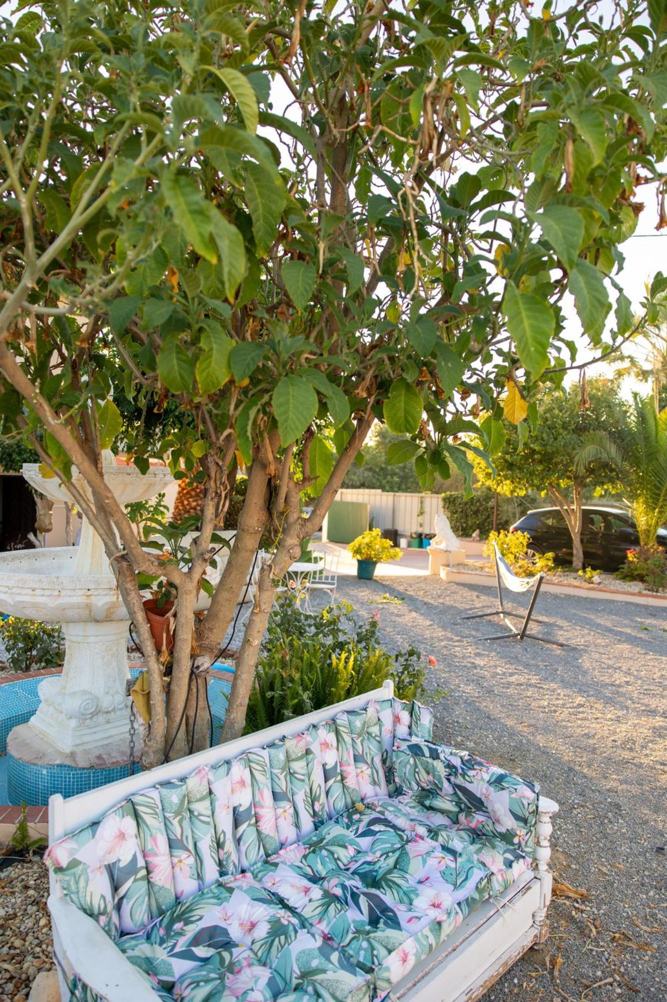 Bela Alexandra Guest House Fuzeta Bagian luar foto